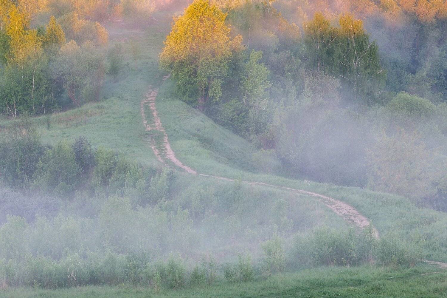природа, пейзаж, туман, Мартыненко Дмитрий