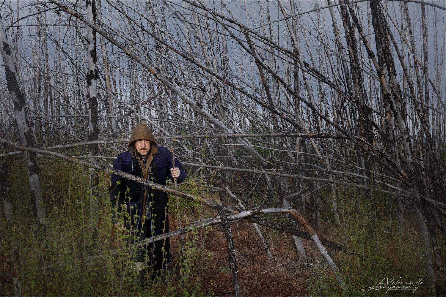 , Александр Леснянский