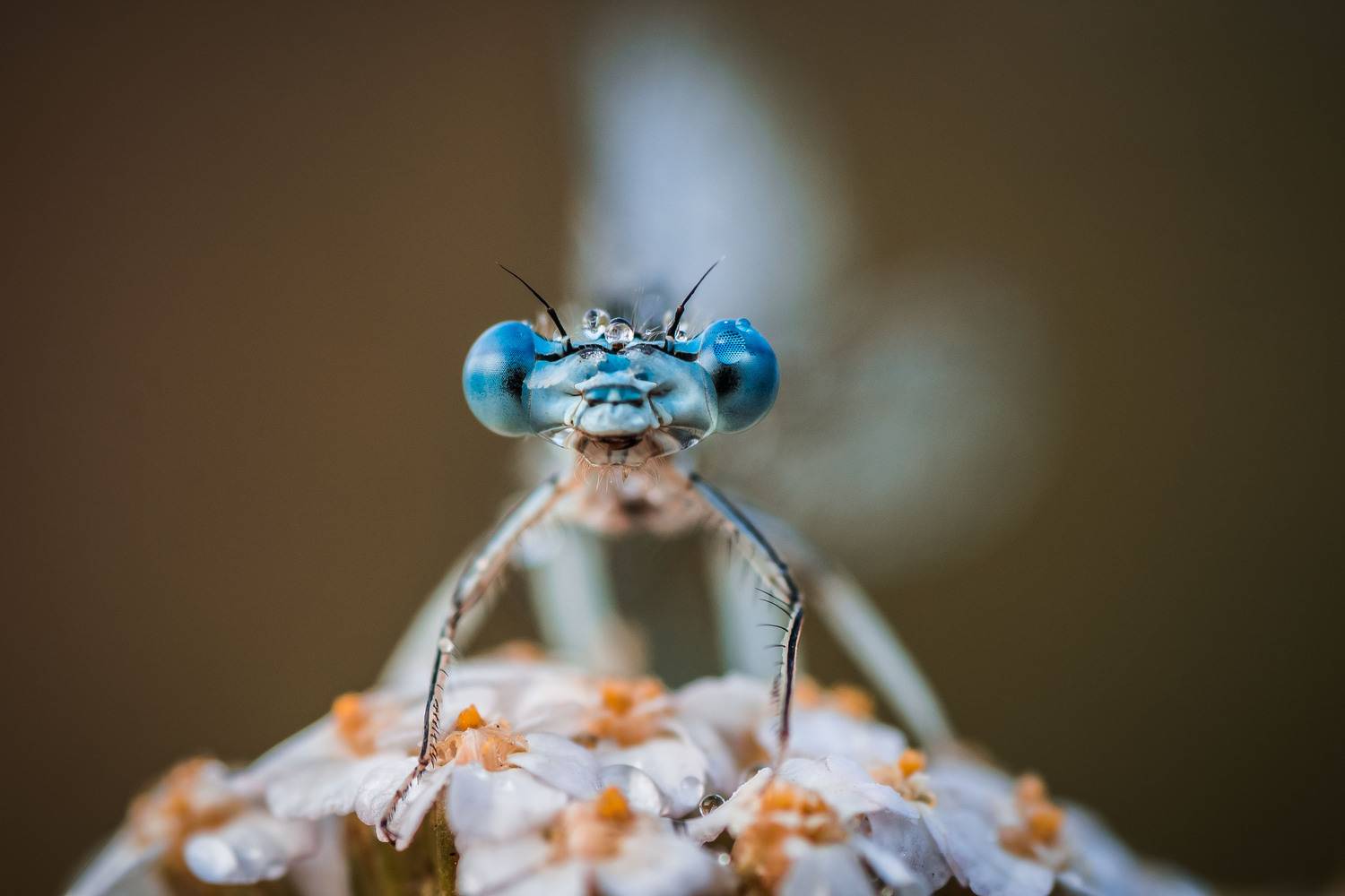 , Роман Зайцев