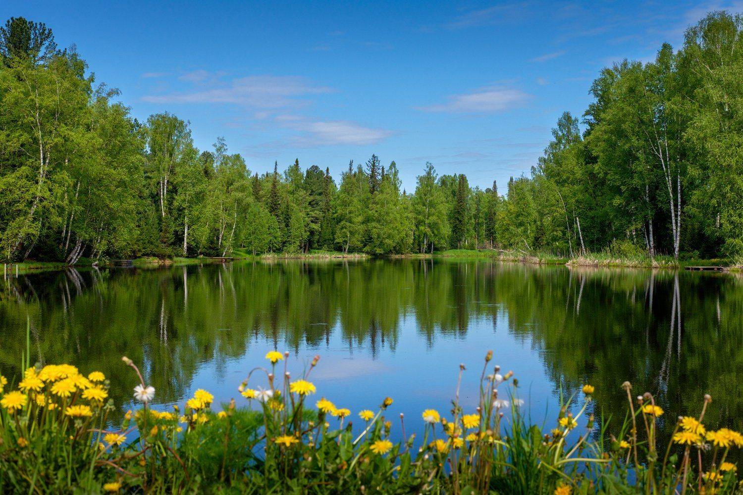 лето, вода, пейзаж , Александр Потапов