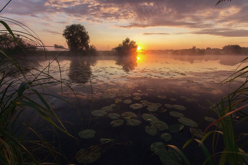 алексей платонов брянск, пейзаж, утро, озеро, туман, оз. пантон В тишине летнего утра фото превью