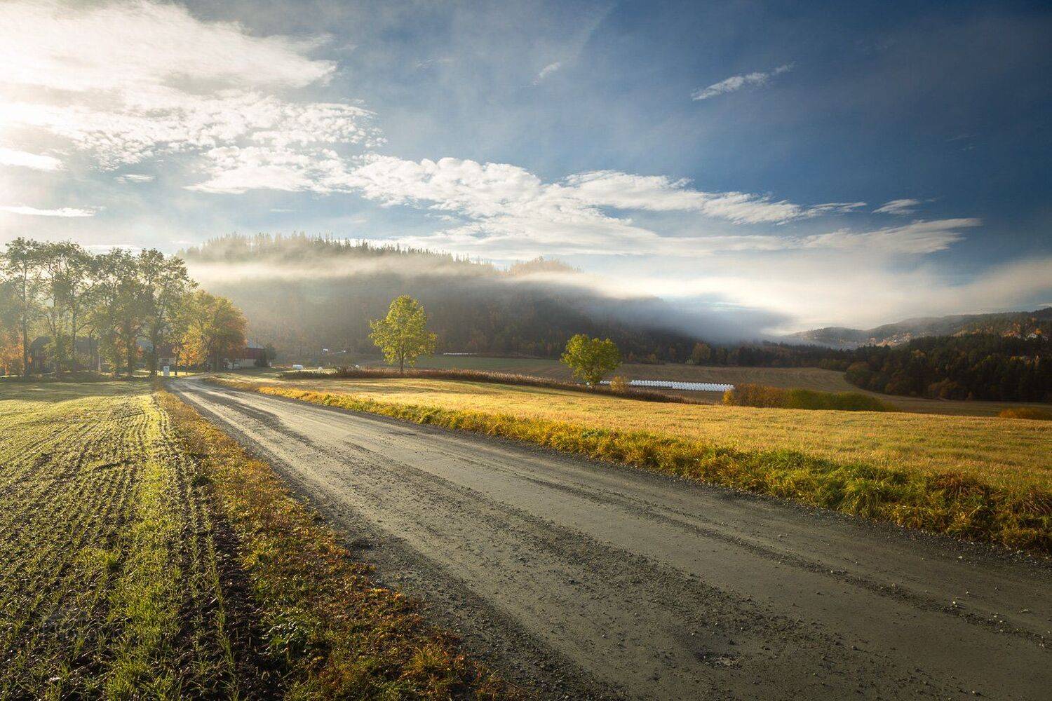road,autumn,norway,landscape,norwegian,scandinavia,scandinavian,nature,light,autumnal,rural,tree,, Adrian Szatewicz