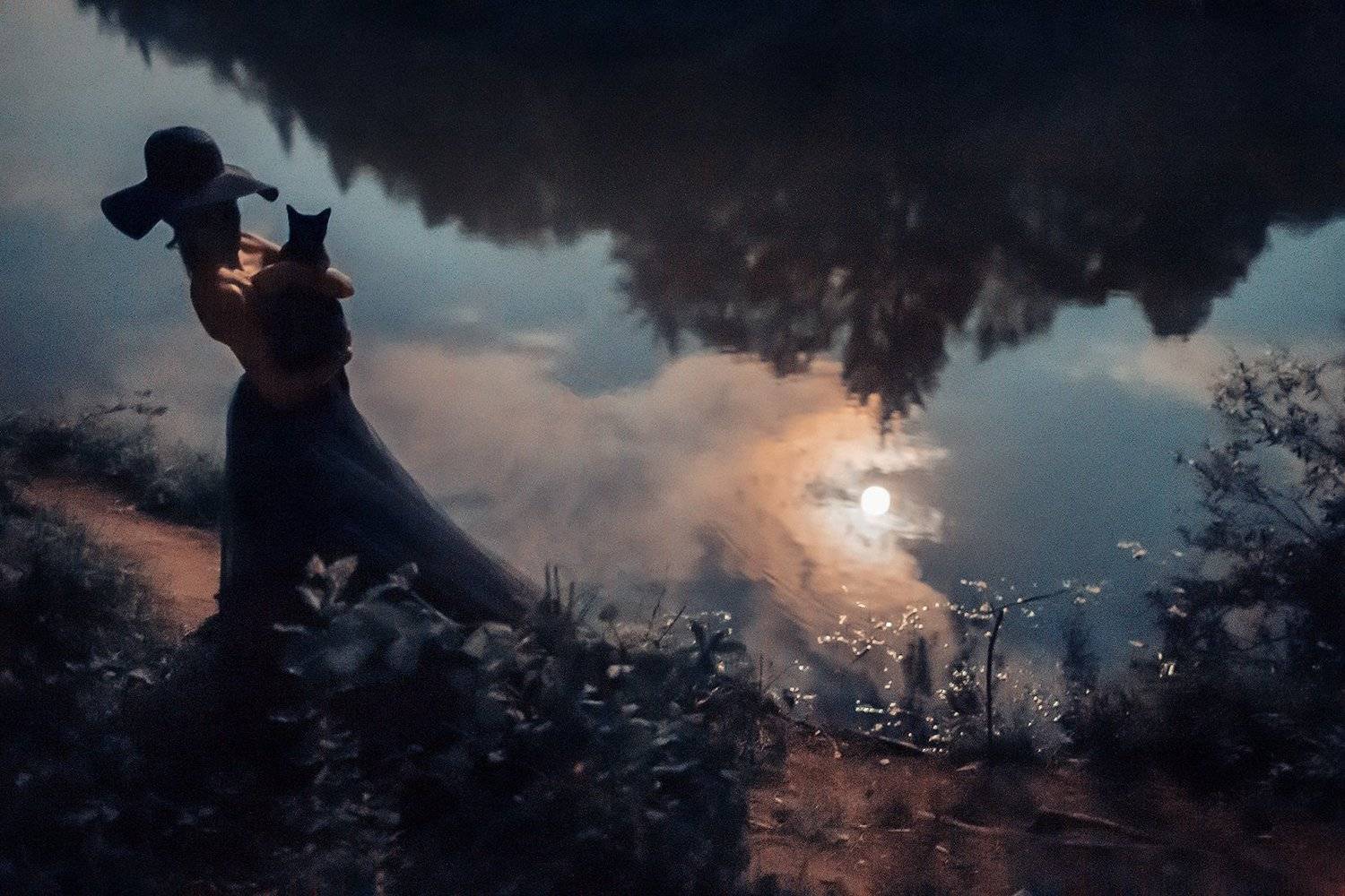 , Деян Романов