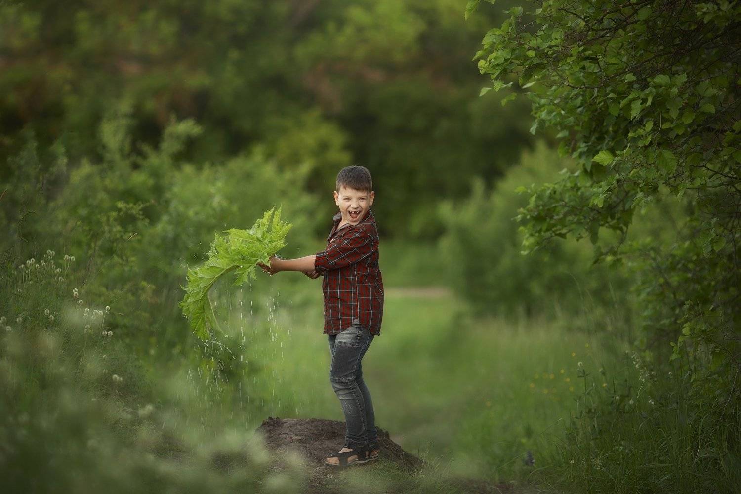 , Ника Колесникова