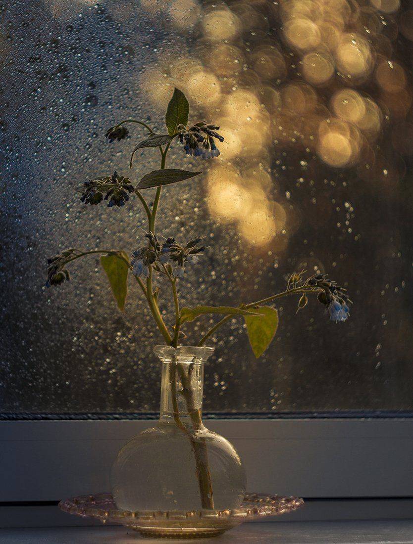 , Елена Рубинская