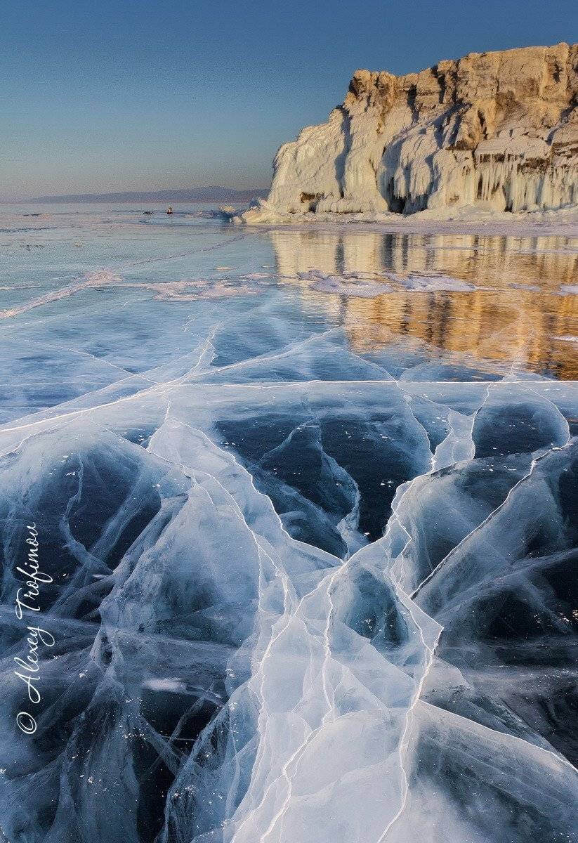 , Алексей Трофимов