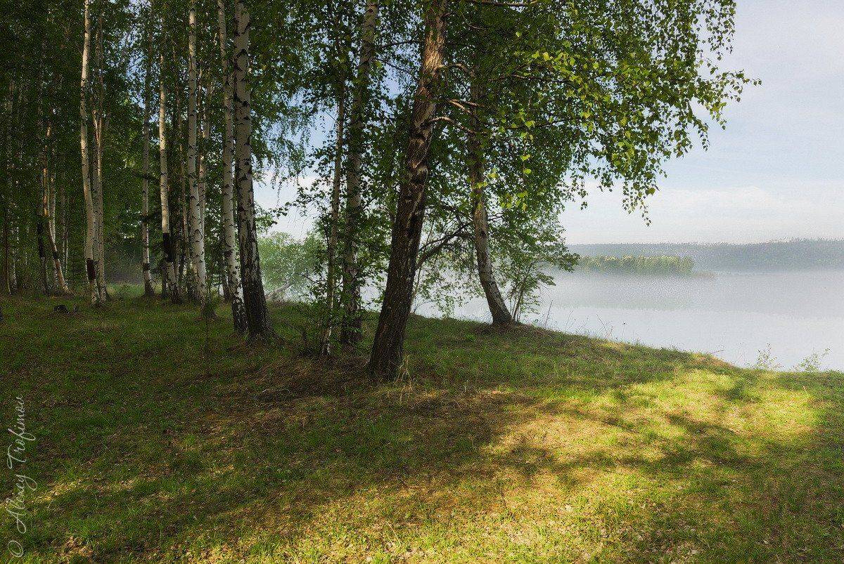 , Алексей Трофимов