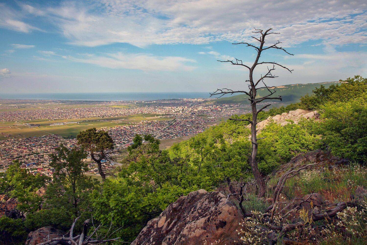 махачкала,море,город,пейзаж,, Marat Magov