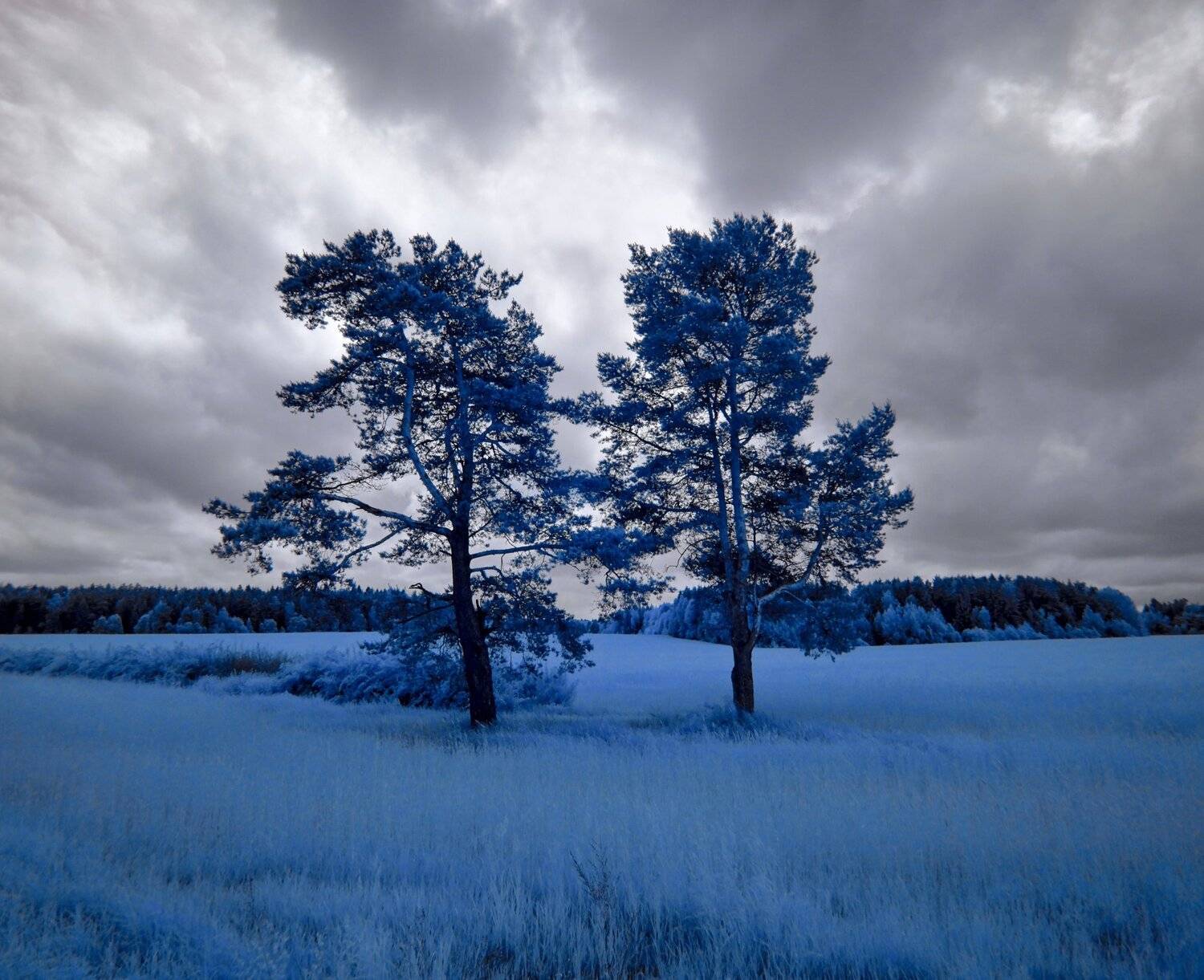 infrared,ик-фото,инфракрасное фото, инфракрасная фотография, пейзаж, лето, Sixten ( Сергей )