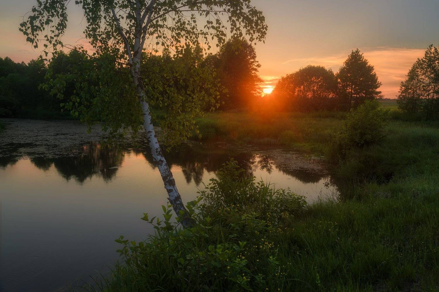 , Михаил Кушнер