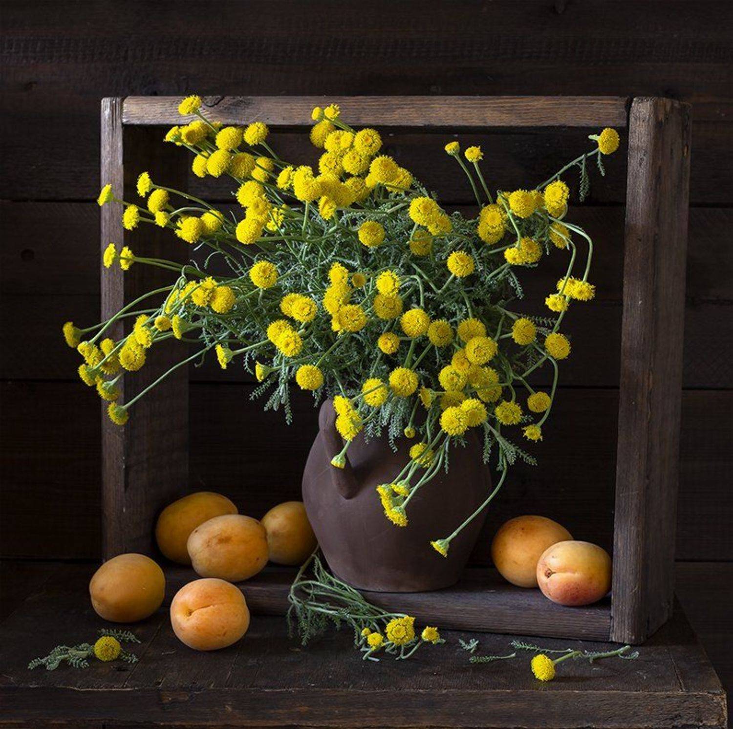 натюрморт, цветы, still life, Оля