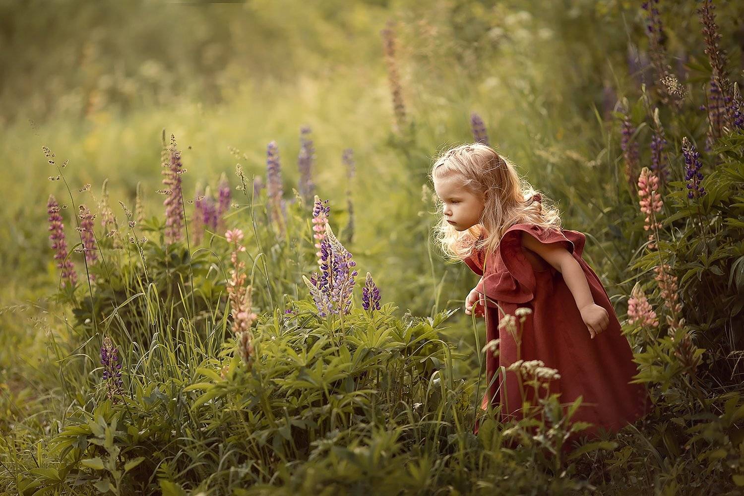 люпины девочка, Екатерина Белоножкина