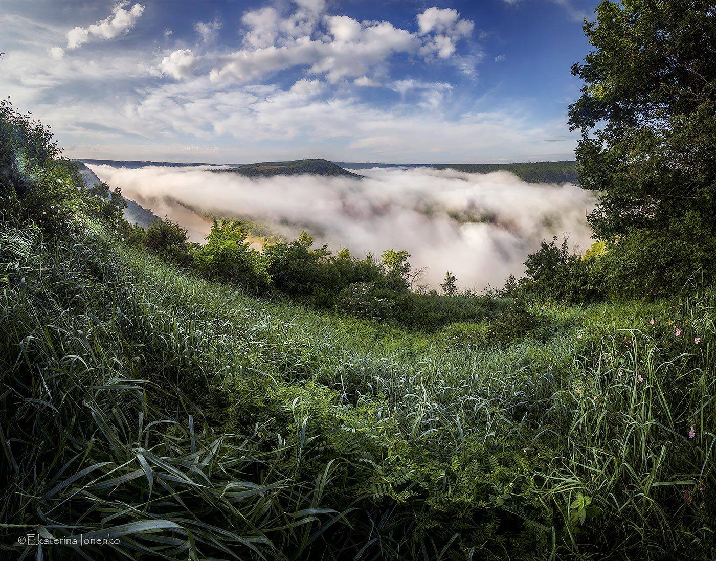 , Екатерина Ионенко