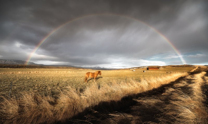 iceland A Horse Under the Rainbow фото превью
