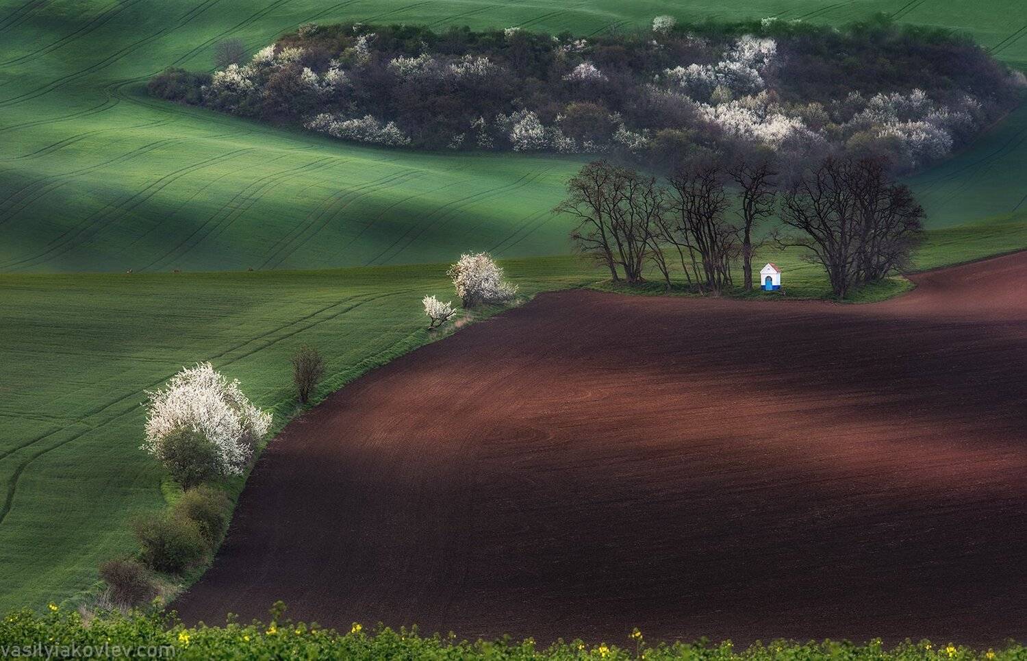 моравия, чехия, Василий Яковлев