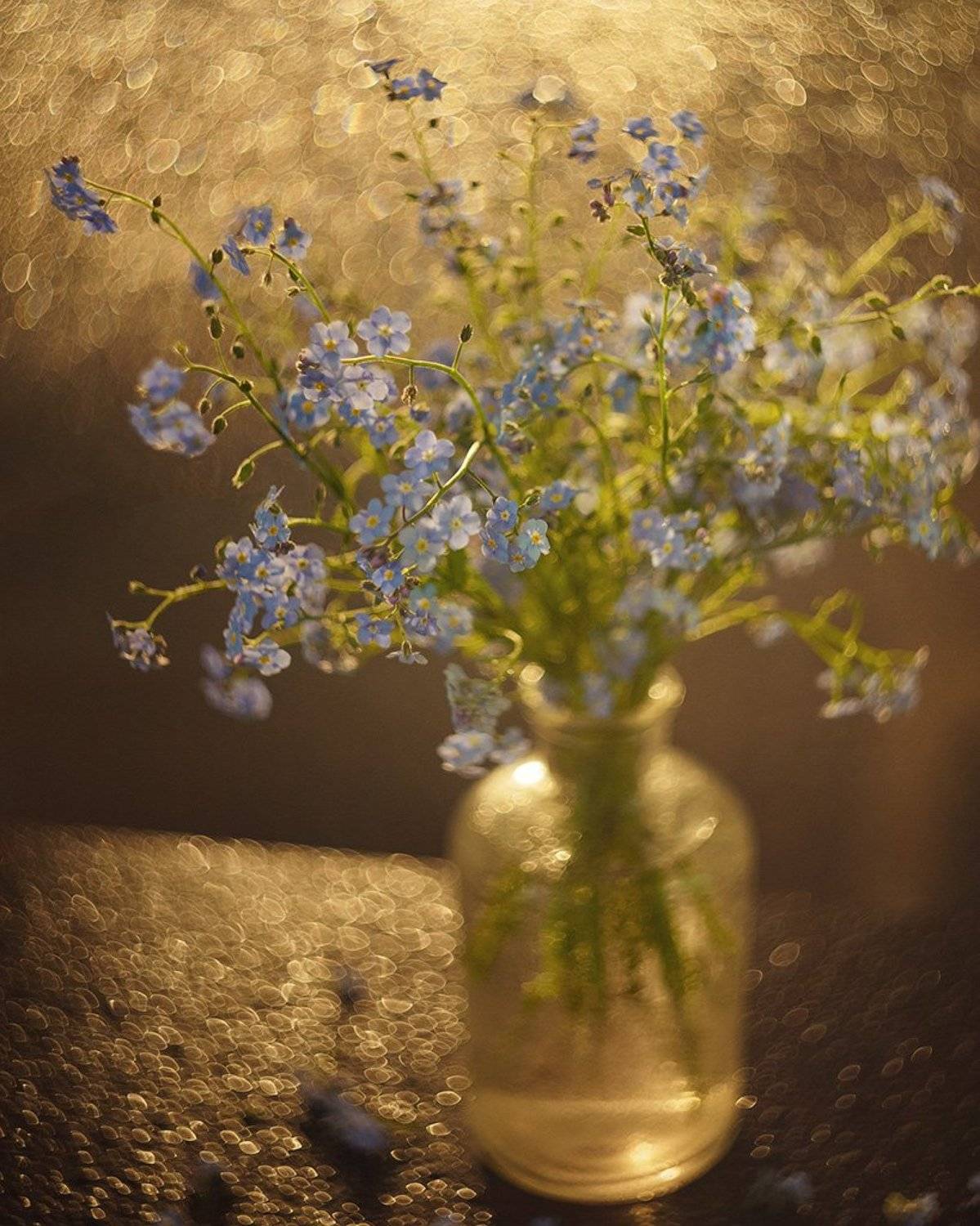 , Казанцев Алексей