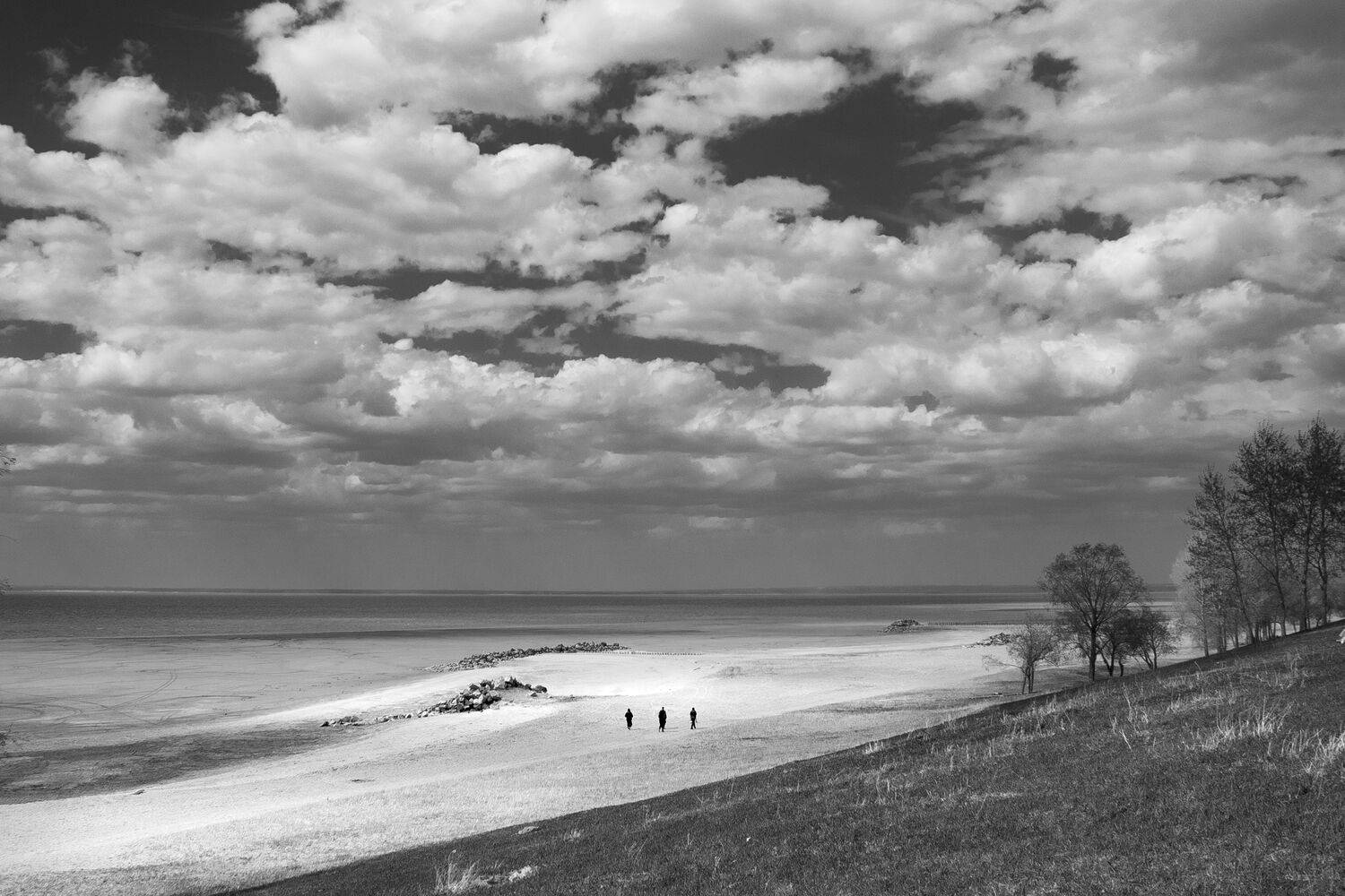 , Алексей Школдин