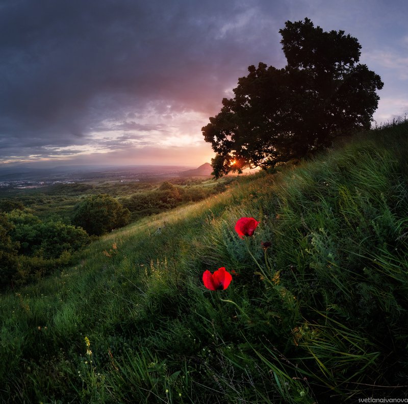 маки, бештау, закат, горы Двое на закате фото превью