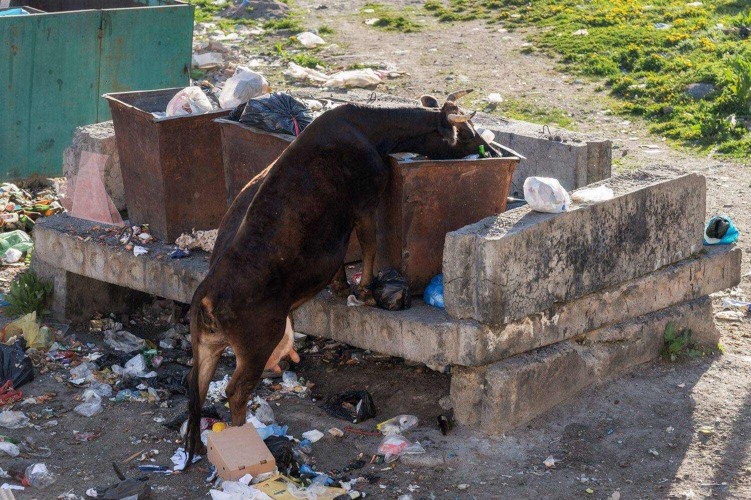 , Михаил Туркеев