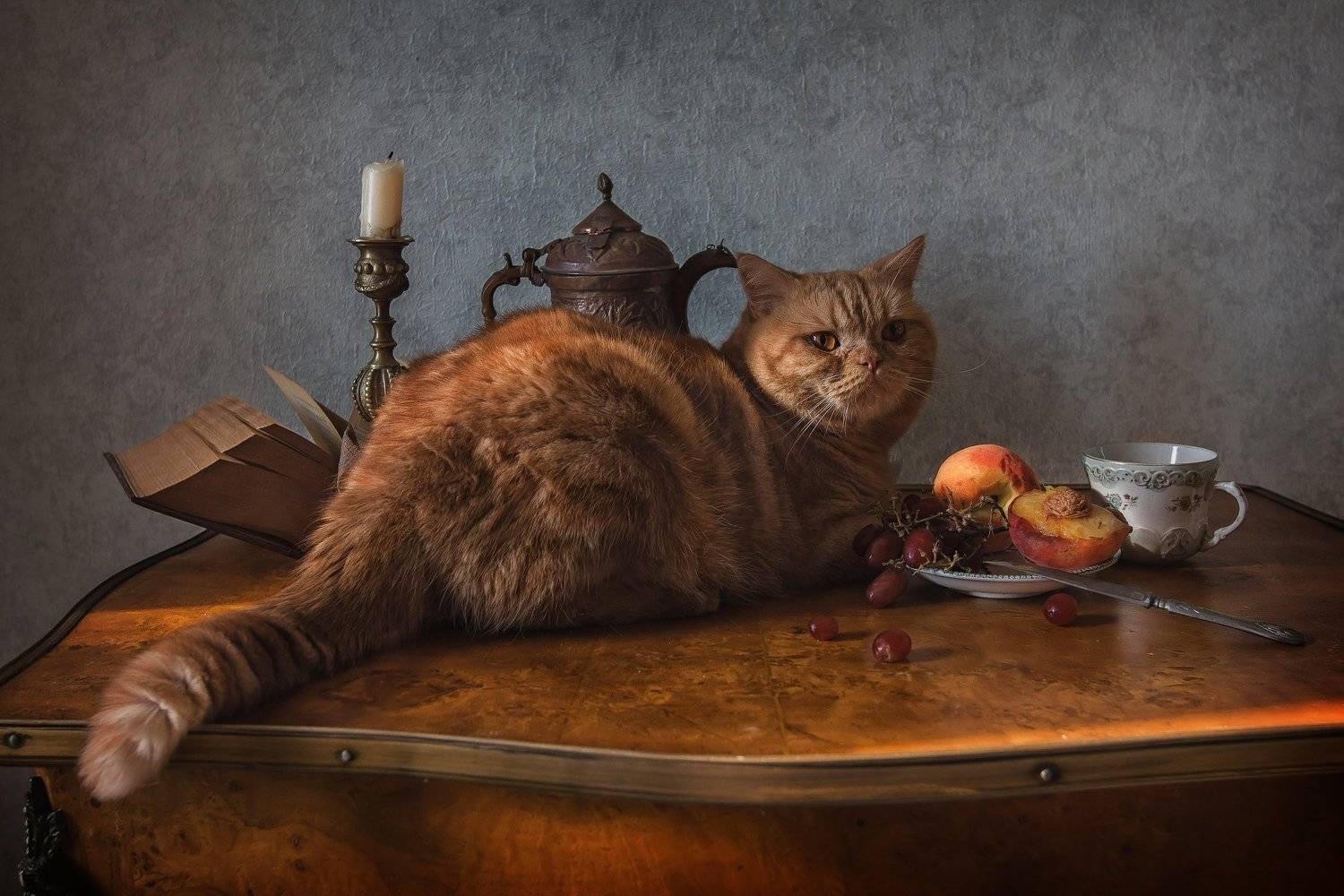 животные, кошки, кот, натюрморт, виноград, персик, Анна Петина