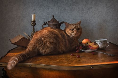 Завтрак аристократа :)