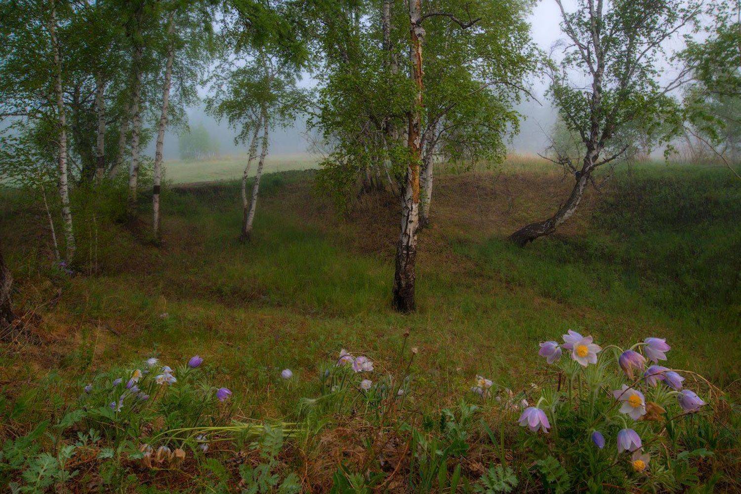 , Сергей Брагин