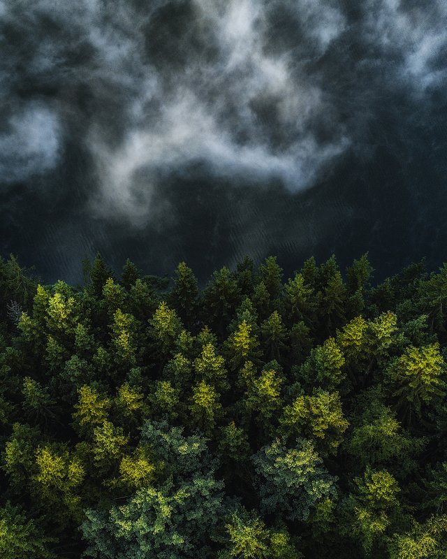 Foggy water фото превью