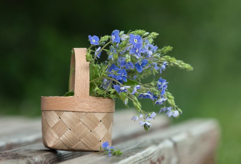 фото превью