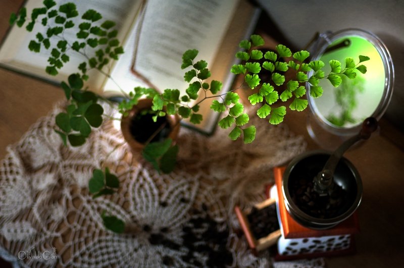 *** фото превью