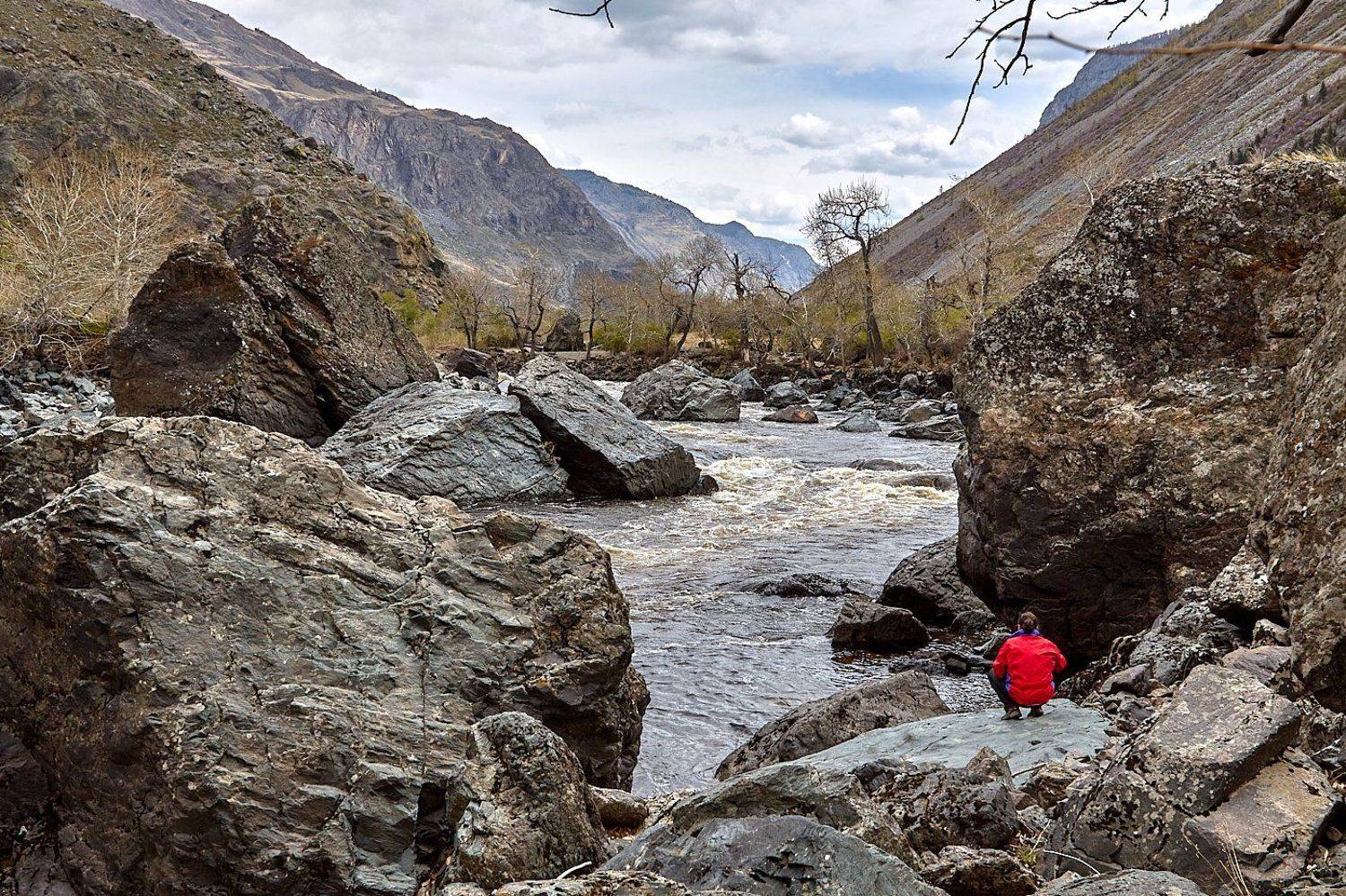 алтай, ледник актру, актру, алтайский край, долина, весна,осень, лиственницы, ледник,ледники, Качурин Алексей