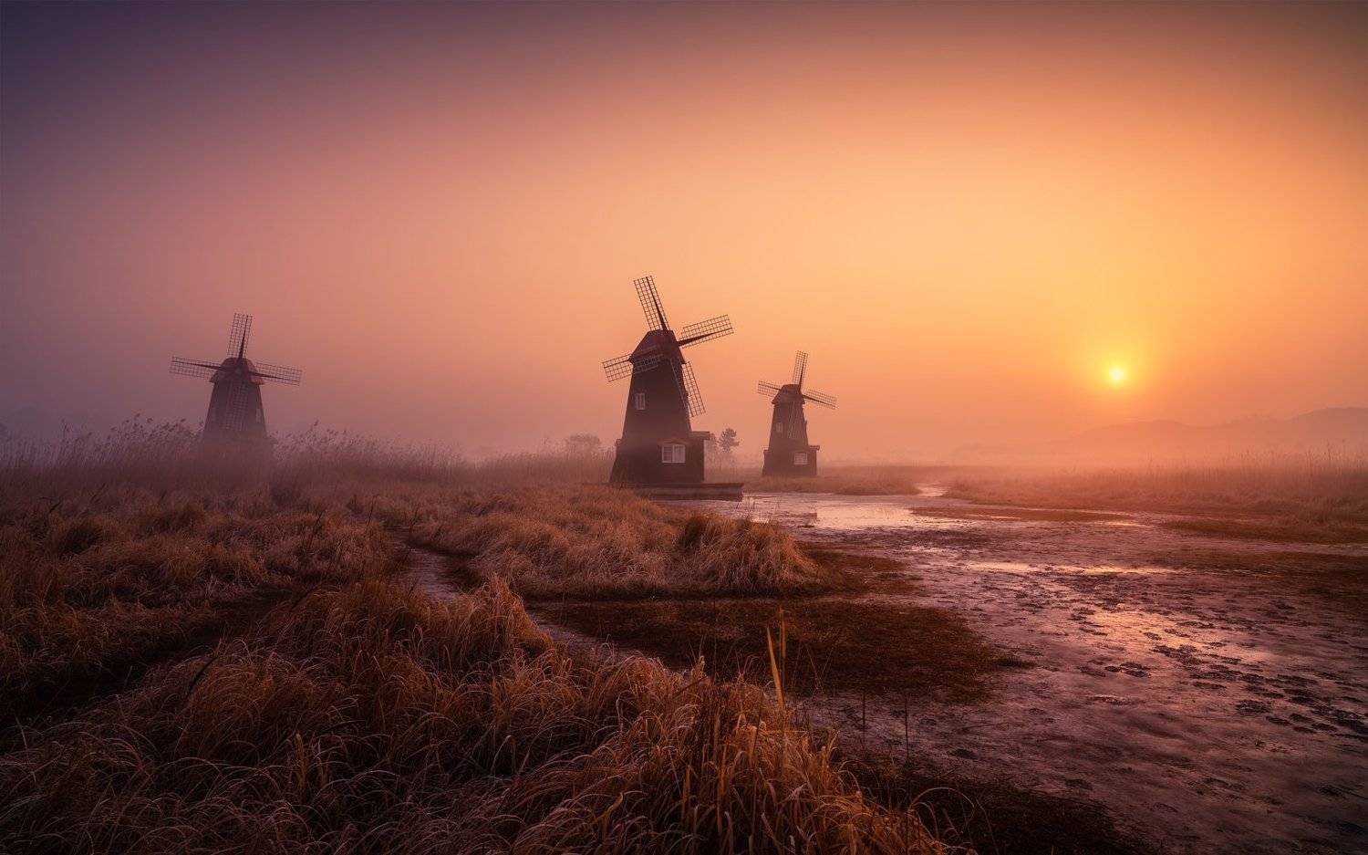 windmill calm morning fog foggy light landscape korea, Seo Tiger