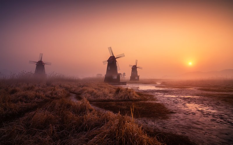 windmill calm morning fog foggy light landscape korea The land of the morning calm фото превью