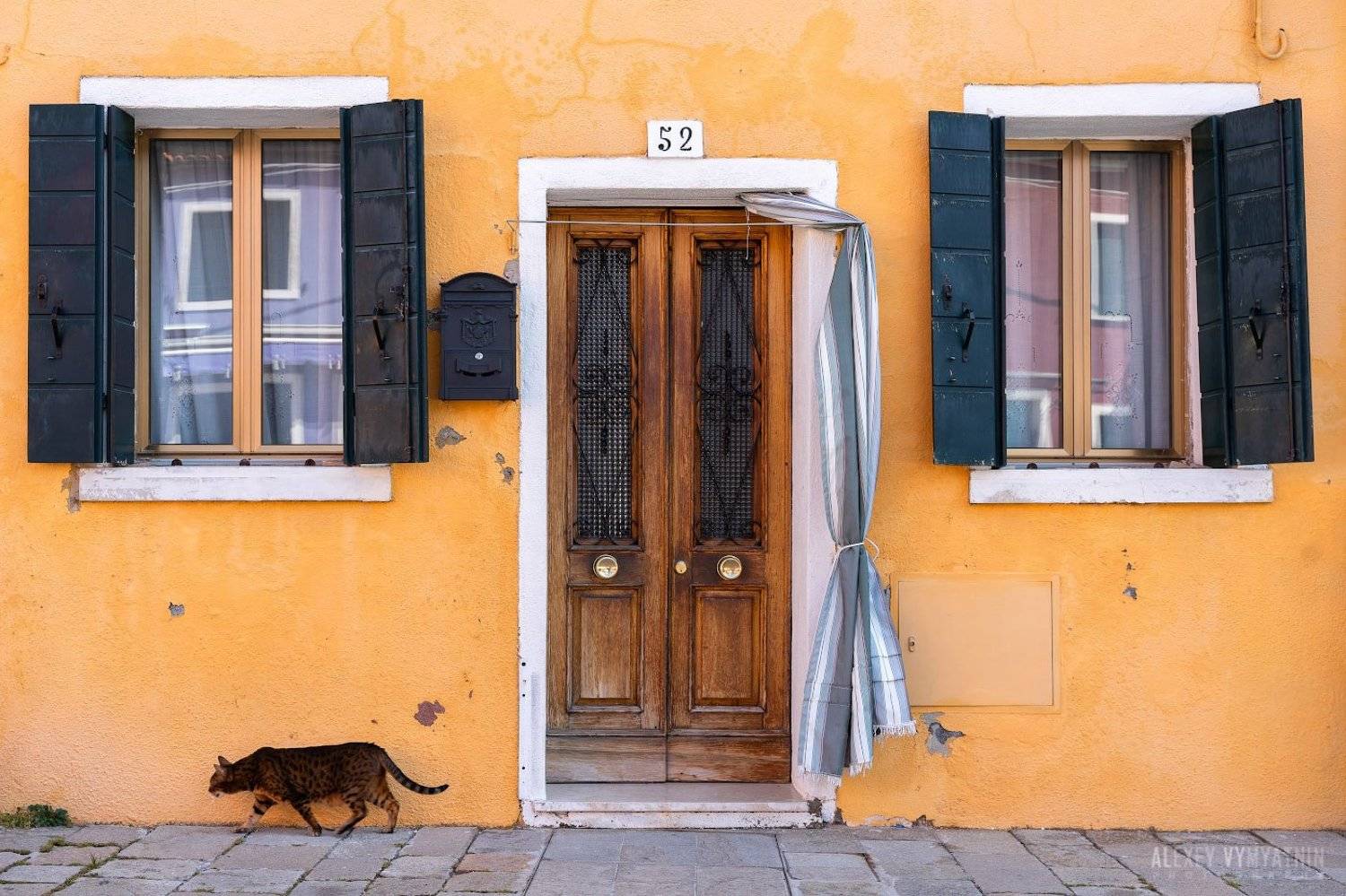 italy, burano, cat, window, door, building, urban, италия, бурано, дом, желтый, окно. двери, Алексей Вымятнин