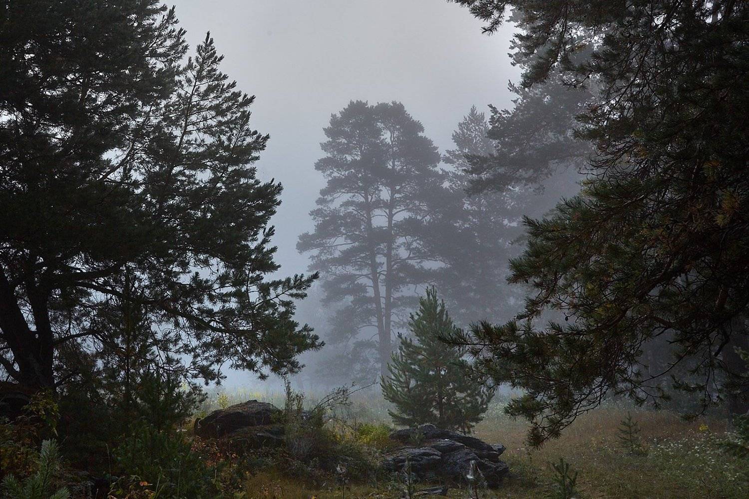 южный, урал, долгие горы, орск, новотроицк башкирия талкас, Качурин Алексей