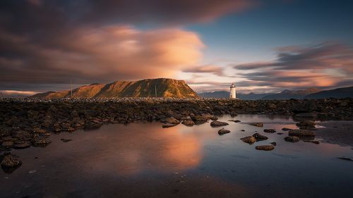 The Lighthouse