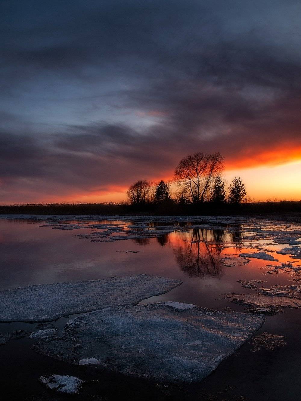 , Федотов Антон