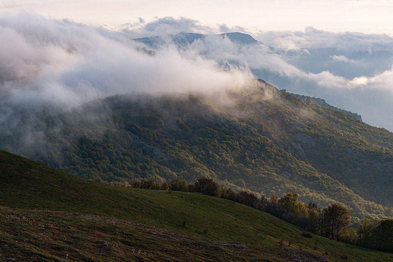 , Олег Логунов