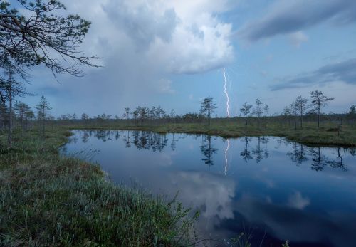 Ночная гроза над болотом