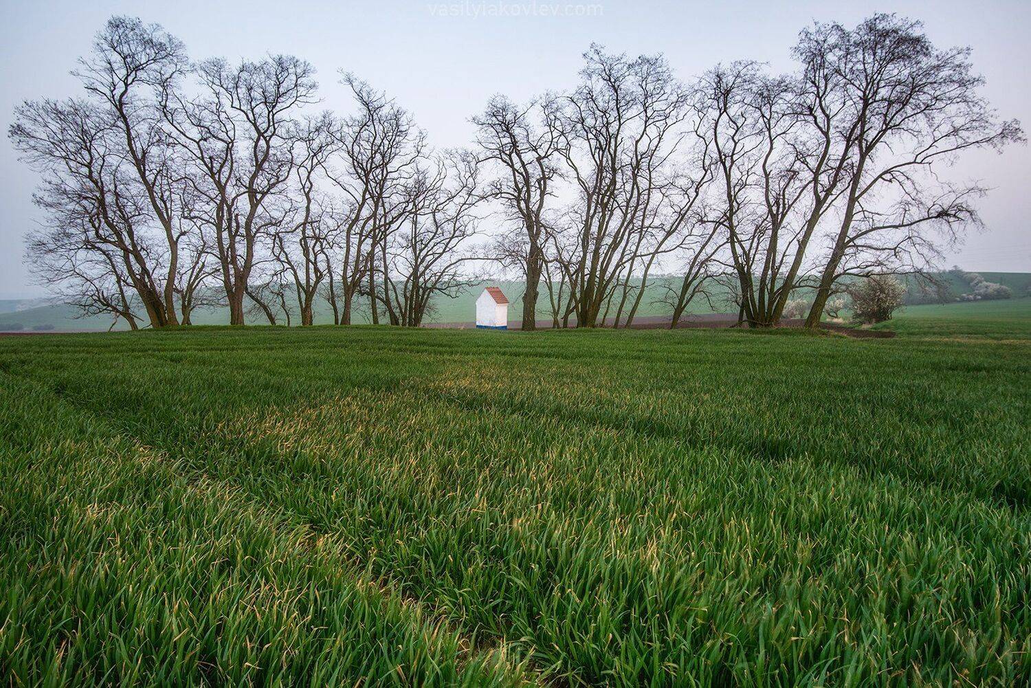 моравия, чехия, Василий Яковлев