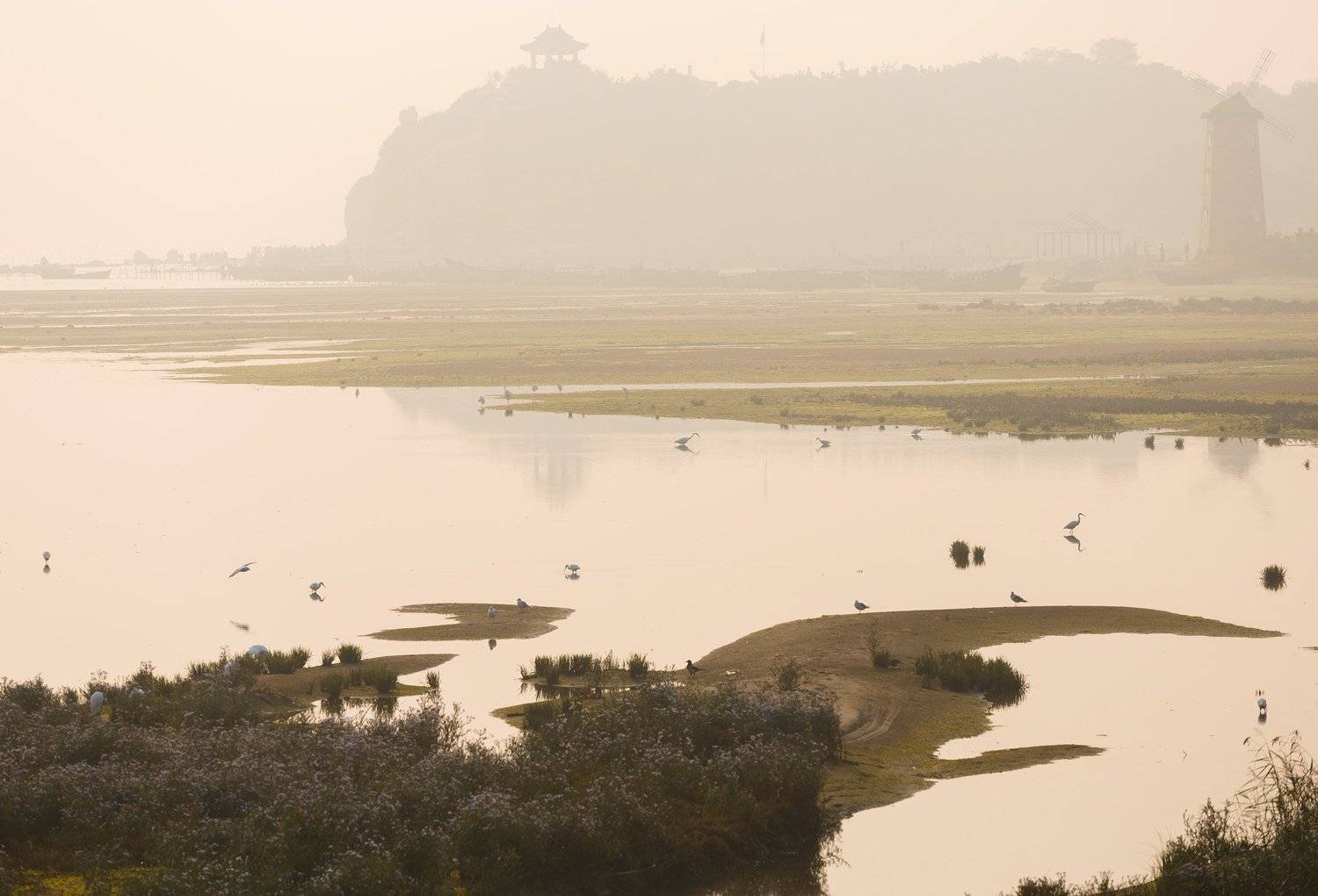 природа китая,цапли, болото, бэйдахэ китай, Alexey Palagichev