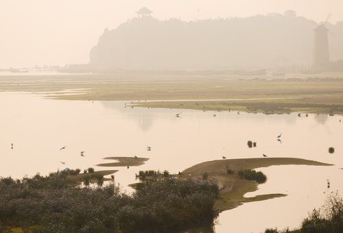 Цаплецарство