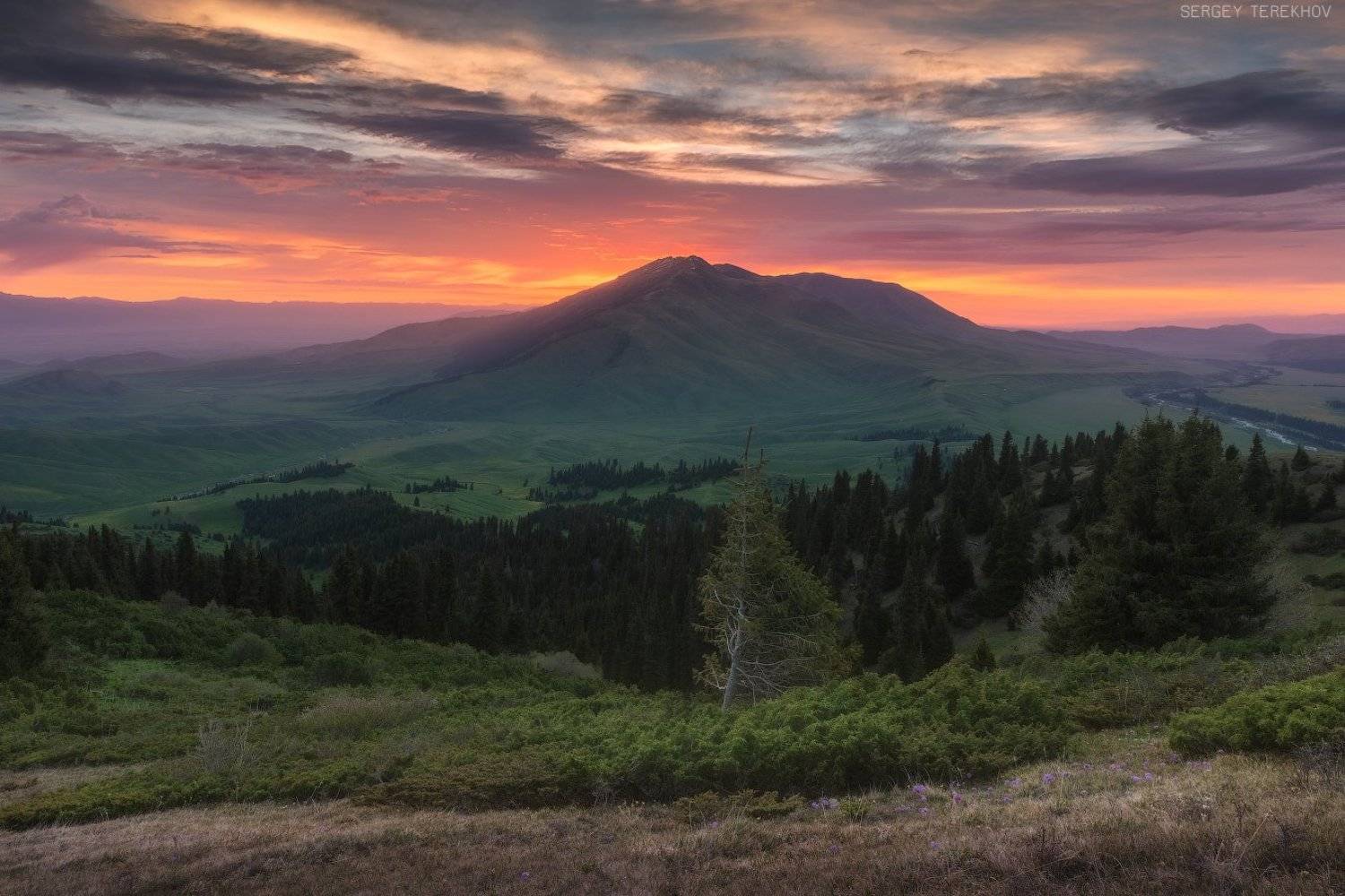 , Сергей Терехов