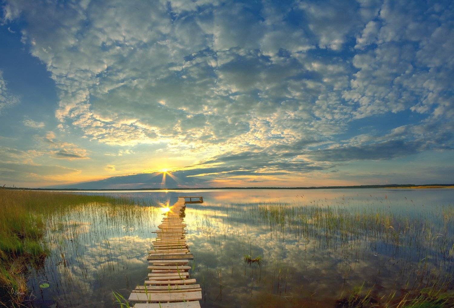 Беларусь, Серж Домбровский