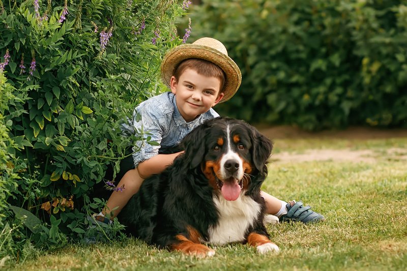 Летом фото превью