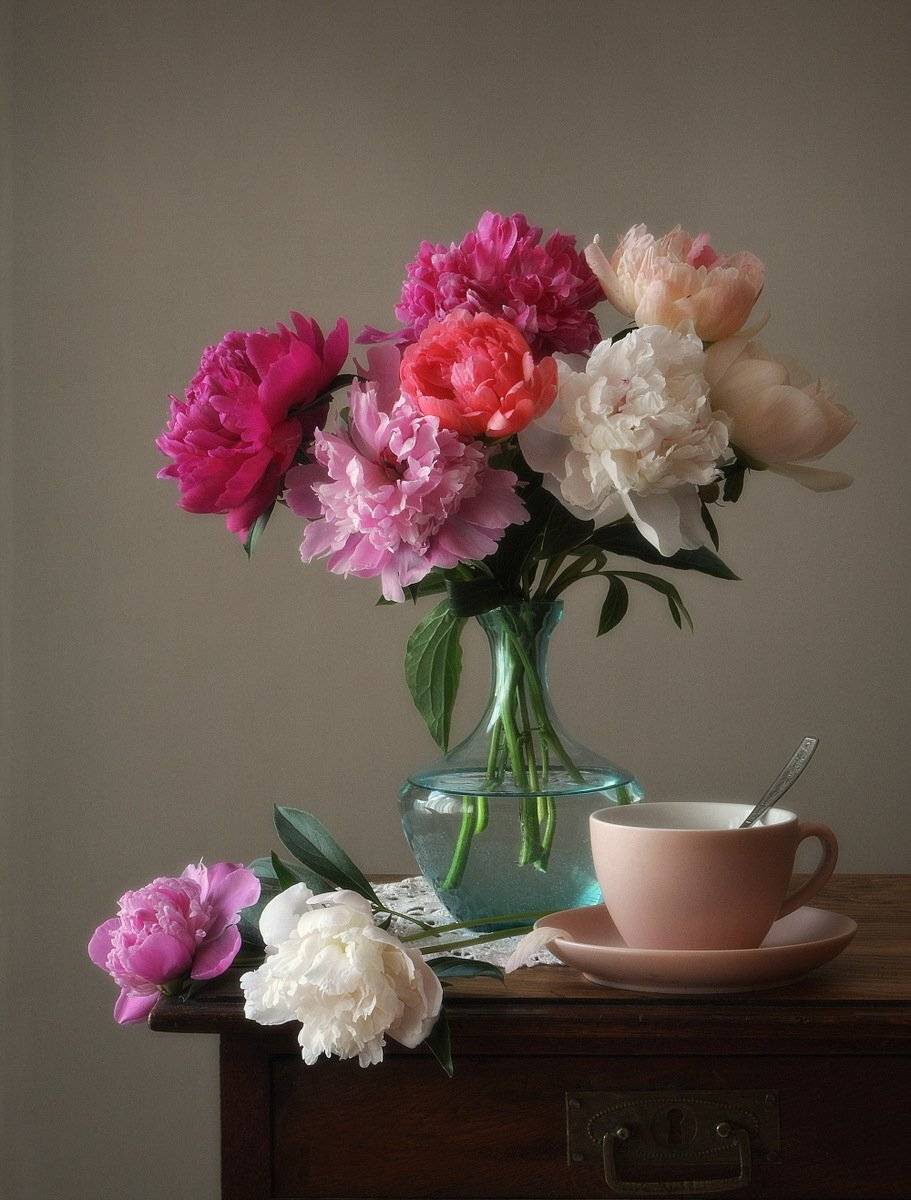 сергей алексеев, натюрморт, Сергей Алексеев