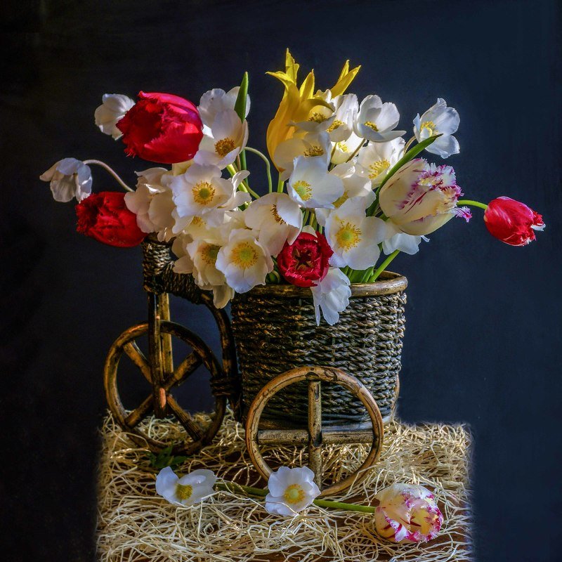 С анемонами. фото превью