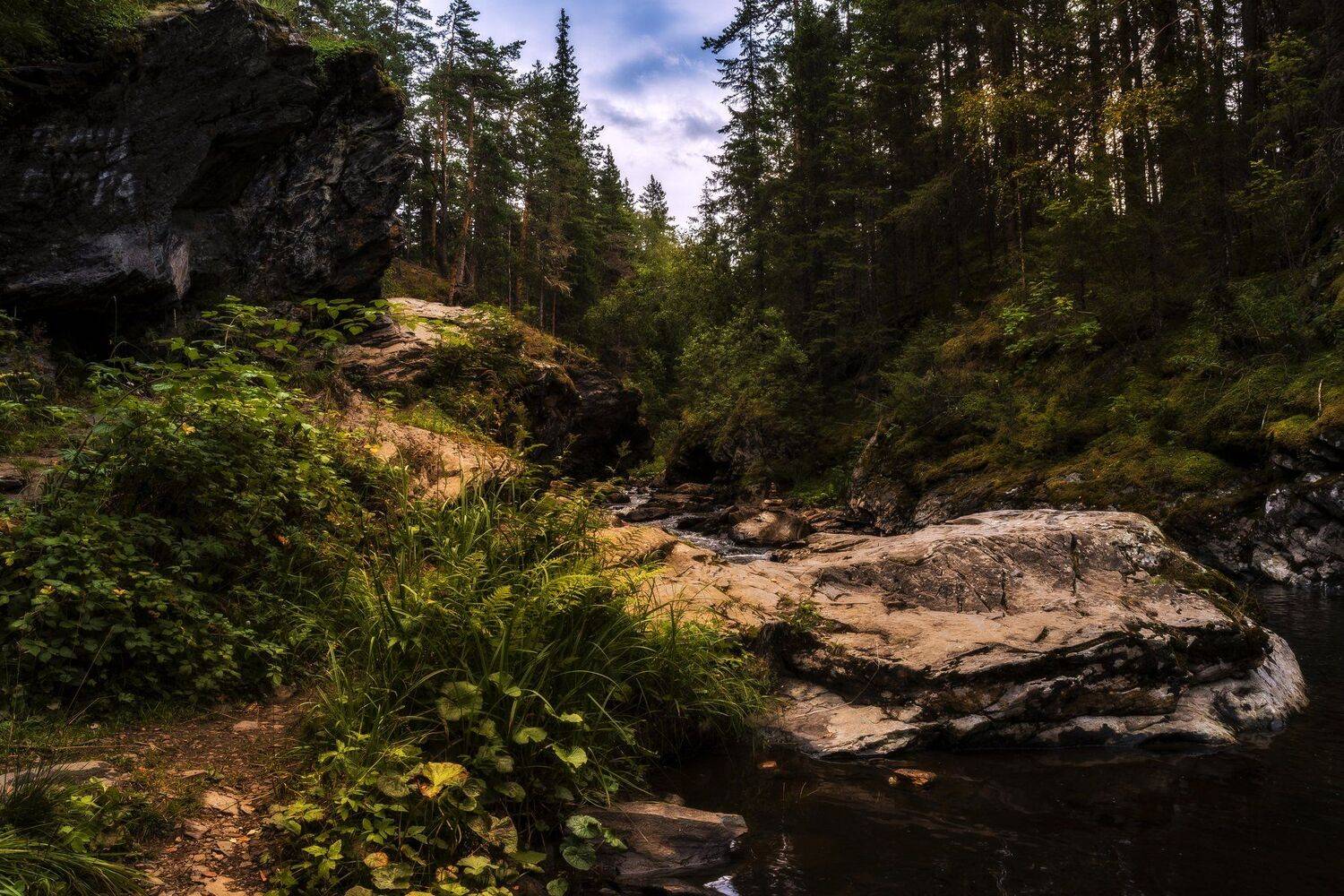 , Андрей Шарапов