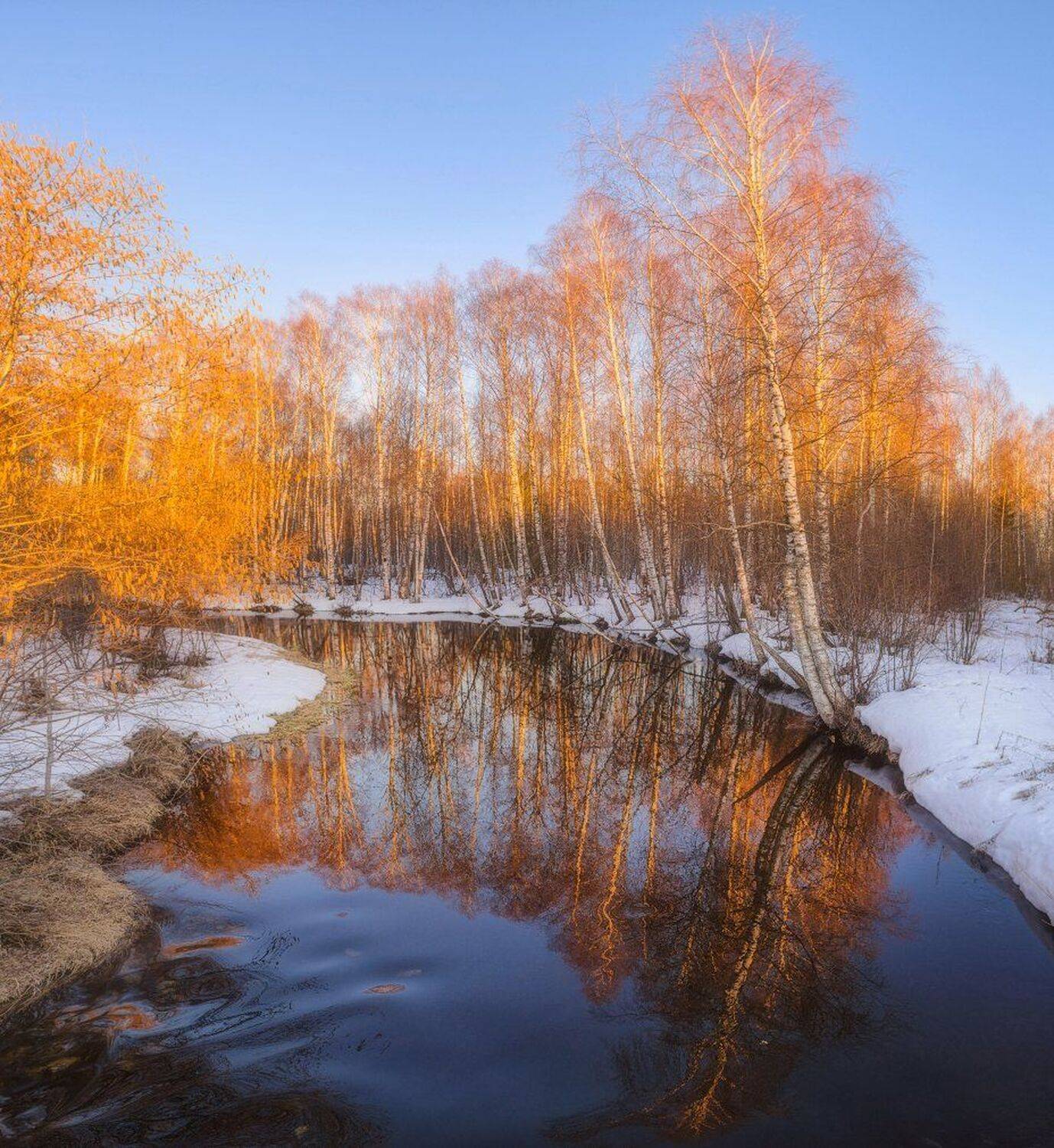 , Устюжанин Михаил