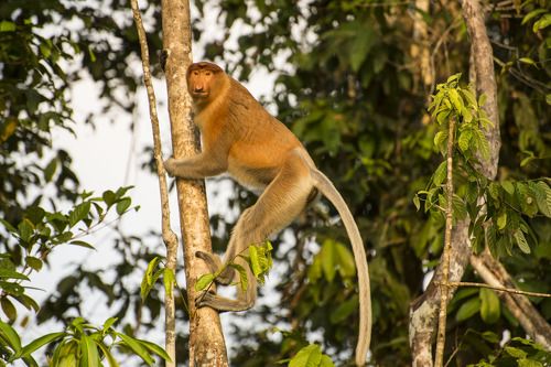 Во всей красе