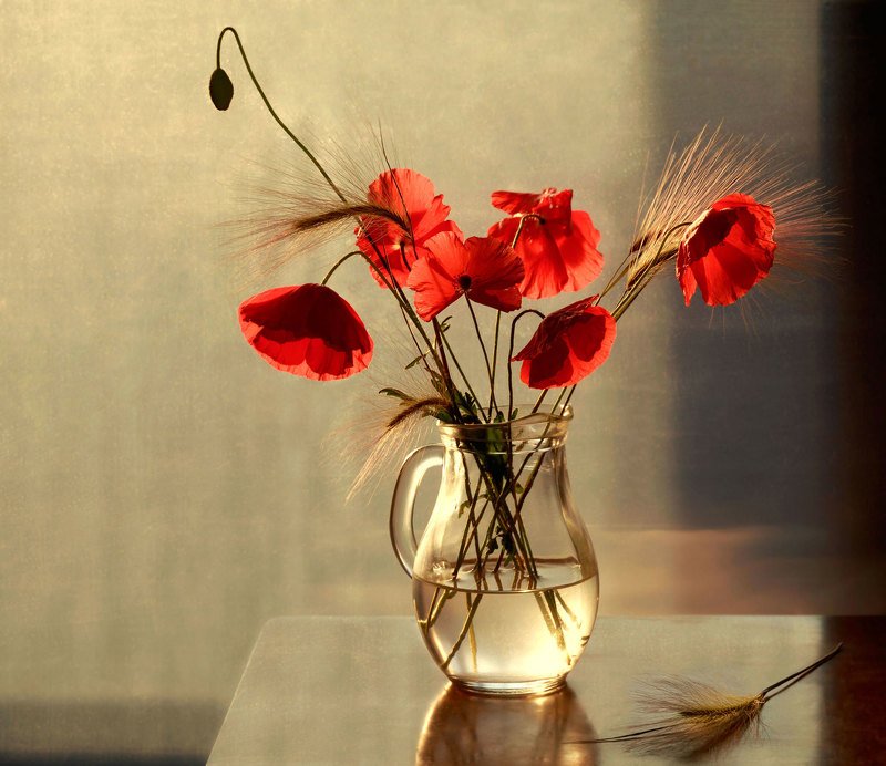 натюрморт, цветы, букет, маки, кувшин Маки фото превью